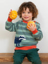 Kite Clothing Badger Knitted Boys Jumper | SALE