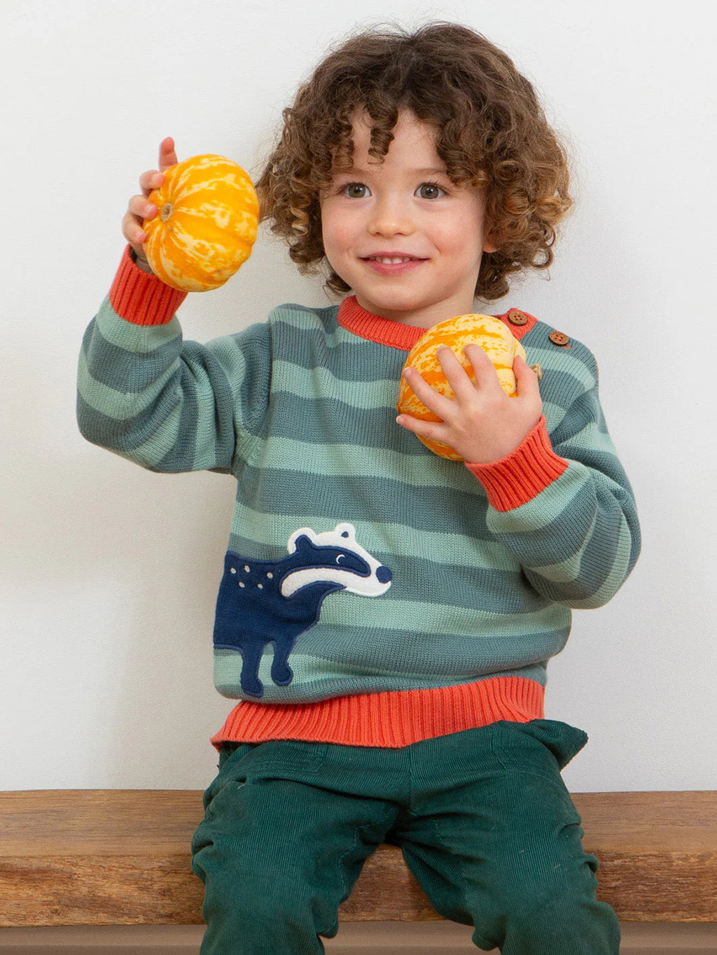 Kite Clothing Badger Knitted Boys Jumper | New Season