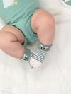 Kite Clothing Baby Koala Time Socks