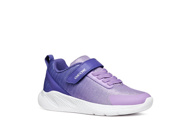 Geox Girls Sprintye Purple Ombre Violet Trainers