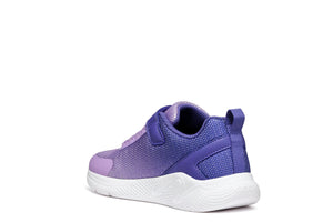 Geox Girls Sprintye Purple Ombre Violet Trainers