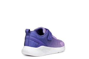 Geox Girls Sprintye Purple Ombre Violet Trainers