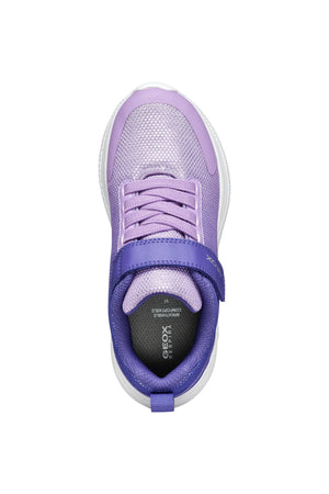 Geox Girls Sprintye Purple Ombre Violet Trainers