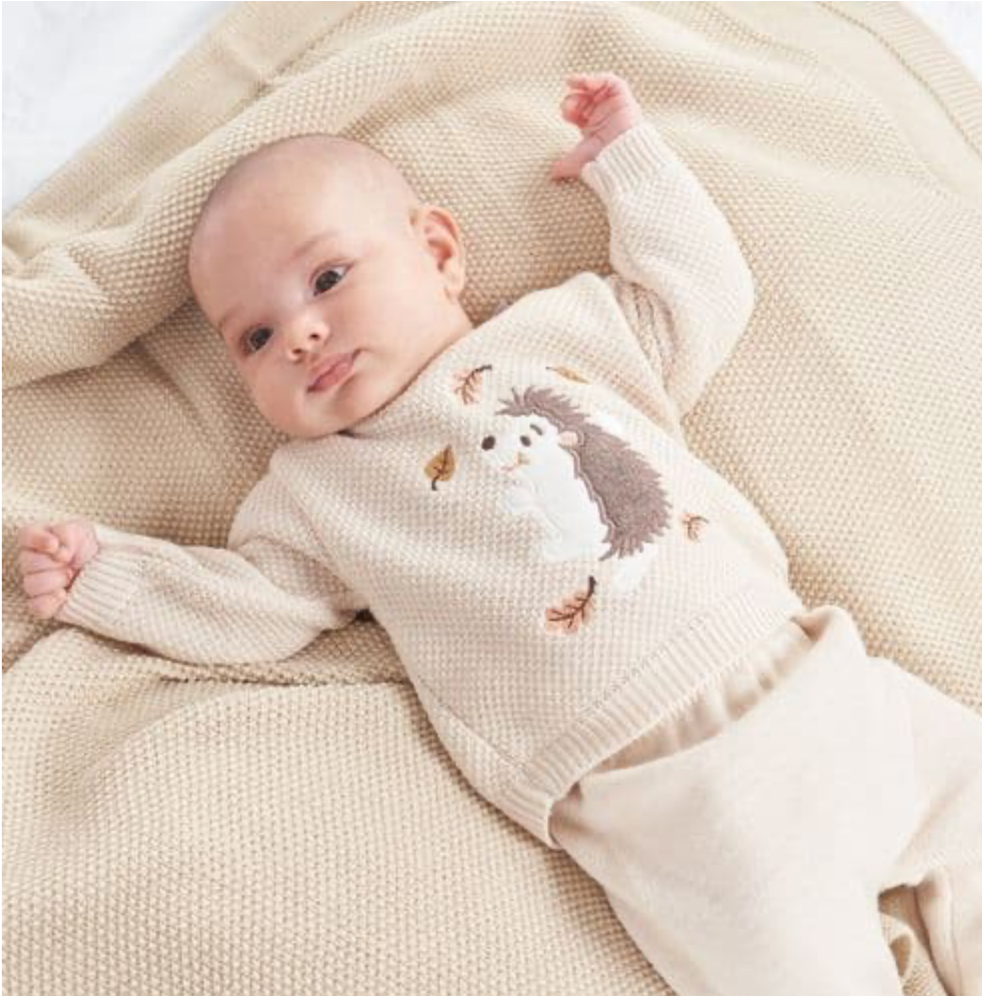 Dandelion Baby Hedgehog Beige Knitted Jumper and Leggings Set