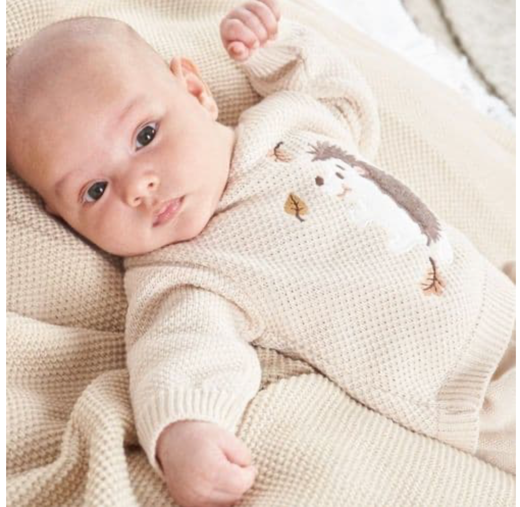 Dandelion Baby Hedgehog Beige Knitted Jumper and Leggings Set